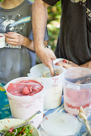 Vegan ice cream from Social Ice cream