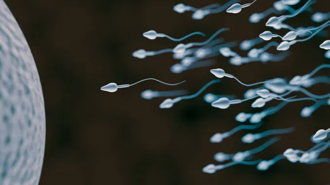 Peer-Reviewed Study: mRNA Vaccine Decreases Sperm Count and Total Motile Count