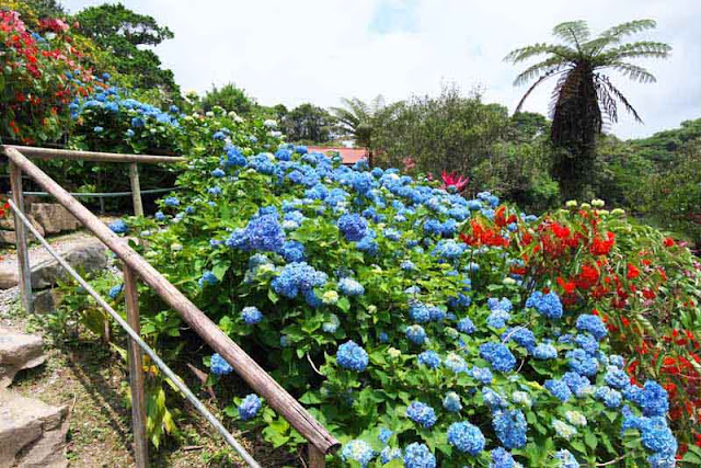 Handrails line paths through the gardens