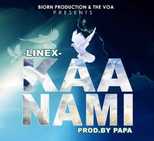 Linex - Kaa Nami (Audio) mp3 download 