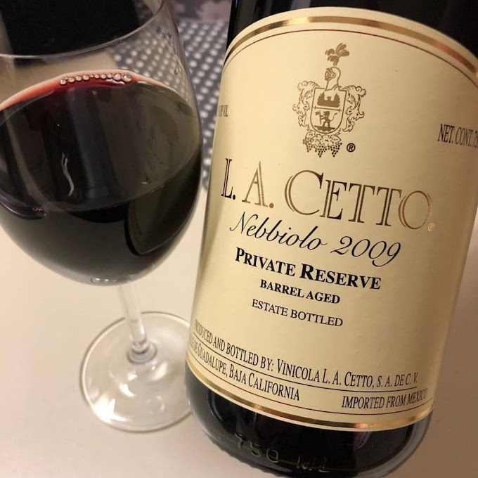  Nebbiolo