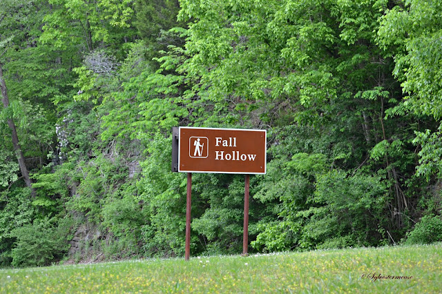 Fall Hollow Waterfall on the Natchez Trace Parkway Photos & Review