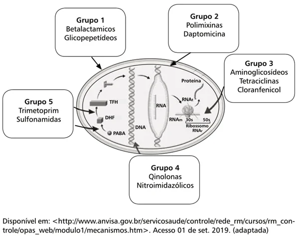 grupos