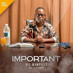 (Afro Music) Important (2019)