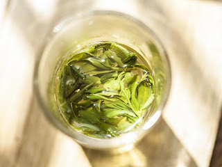 Emei Xueya green tea brewing guide