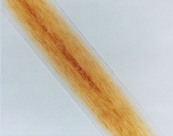 Forensics Study and Analysis: Typical Hair and Fiber Analysis with Hair