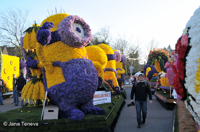 Bloemencorso 2013 Holland