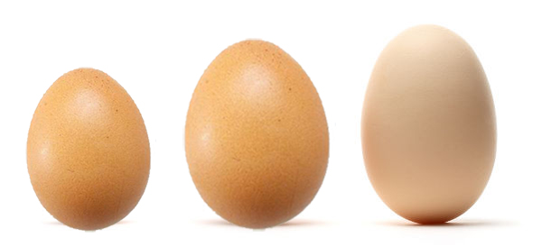 why there is three type of eggs if consumer dont know about it