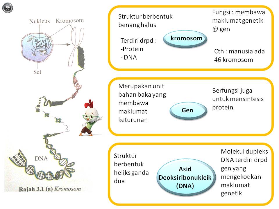 Fizik Tingkatan 4 Bab 2 Soalan Dan Jawapan - Buku Resep j