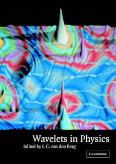 Wavelets in Physics by J.C Van den Berg PDF