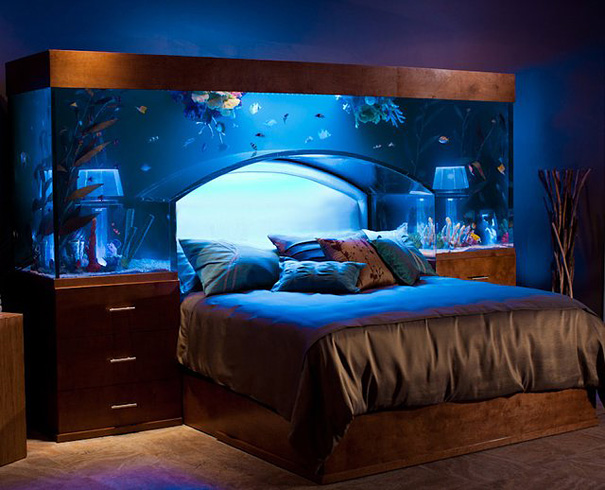 Aquarium Bed