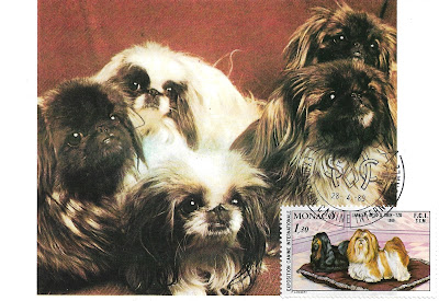 Carte Maximum "Exposition canine internationale de Monaco" - 1980