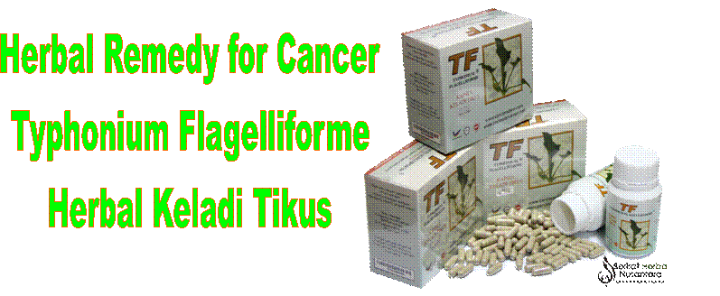 Herbal Remedy for Cancer ( Typhonium Flagelliforme)