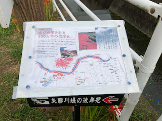 矢勝川の彼岸花 MAP看板 愛知県半田市