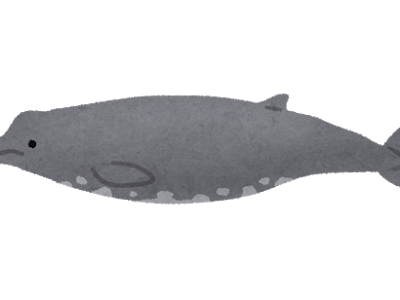 クジラ イラスト フリー 249118-クジラ 骨 イラスト フ��ー