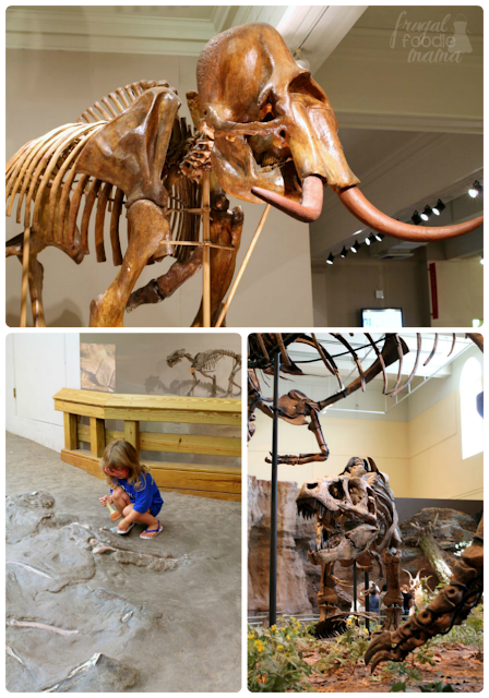 If you are planning a trip to Pittsburgh, then a visit to the Carnegie Museum of Natural History is a definite must for your itinerary. #kidsburgh #lovepgh