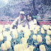 Publik Istimewa : Wisata Bunga di Jepang: Siapa TAKUT !