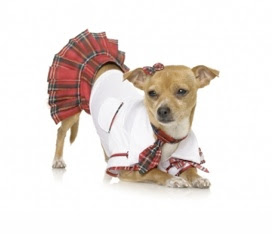 Halloween Costumes For Pets