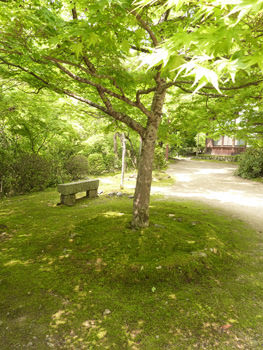 槙尾山　西明寺