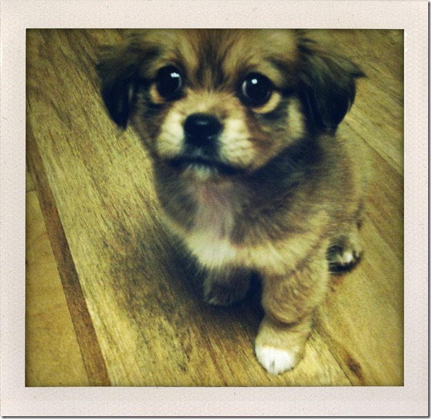 photo (2)