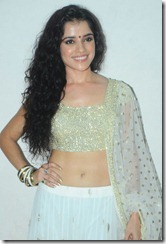 Actress Piaa Bajpai Spicy Hot Photos