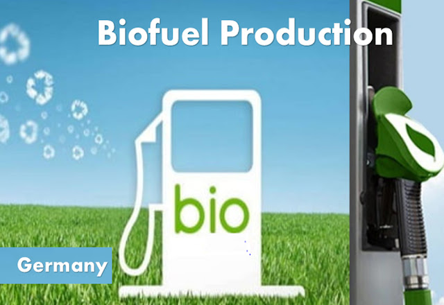 Biofuel Production in Germany
