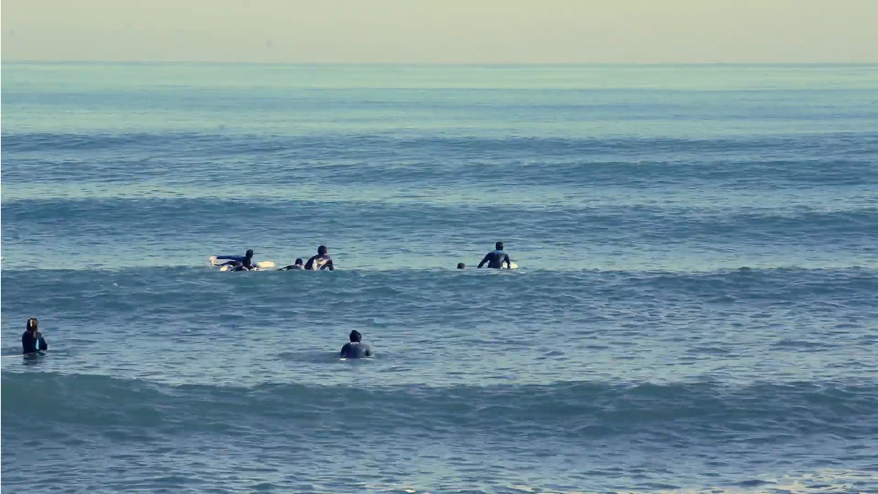 SurfValencia Welcome to the Surf Jungle Días de olas Sol y buena temperatura del agua