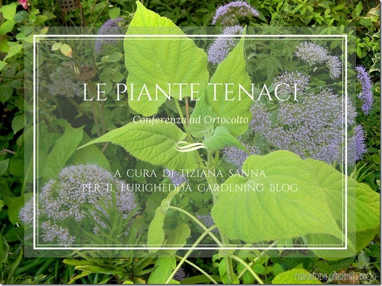 Le piante tenaci 1