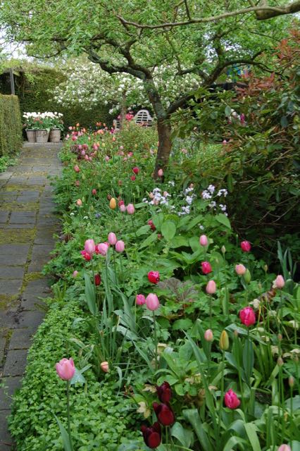 appelbloesem met tulpen