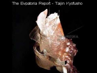 Taijin Kyofusho, Sindrom Aneh Orang Jepang jurnallaporan.blogspot.com