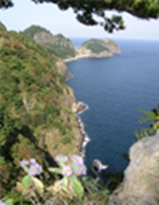 Naesujeon Sunrise Observatory Course