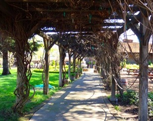 _napa_2