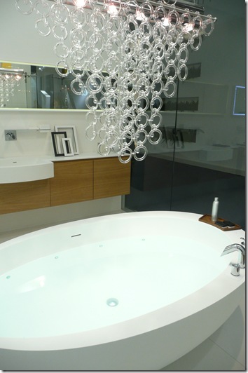 I Saloni 2010 241