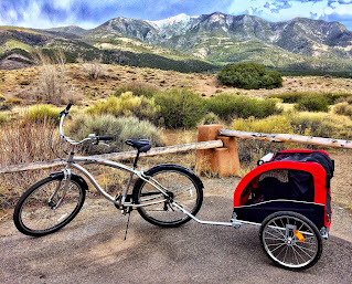 dog trailer on bike