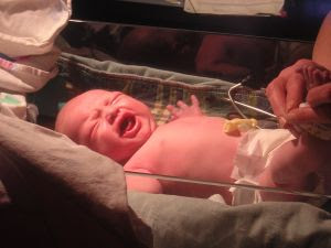 Image: Newborn infant being weighed. Stock Photo Credit: wigginsray