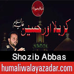 http://www.humaliwalayazadar.com/2017/10/shozib-abbas-nohay-2018.html