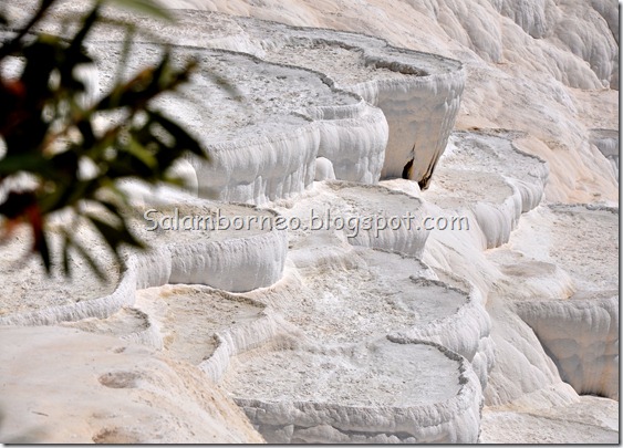 DSC_2401_Fotor DSC_2401_Fotor