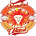 Islamabad United Team Logo