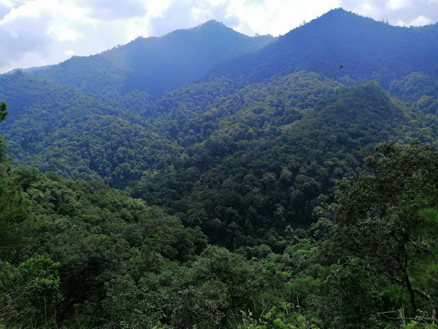 mae takhrai national park, mae takhrai, maetakhrai national park, maetakhrai, national parks in chiang mai, chiang mai national park, mae ta khrai national park