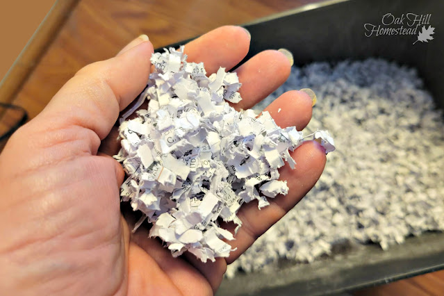 Woman's hand holding shredded paper
