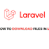 How to Download Files in Laravel ?
