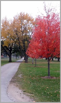 20151022_075507