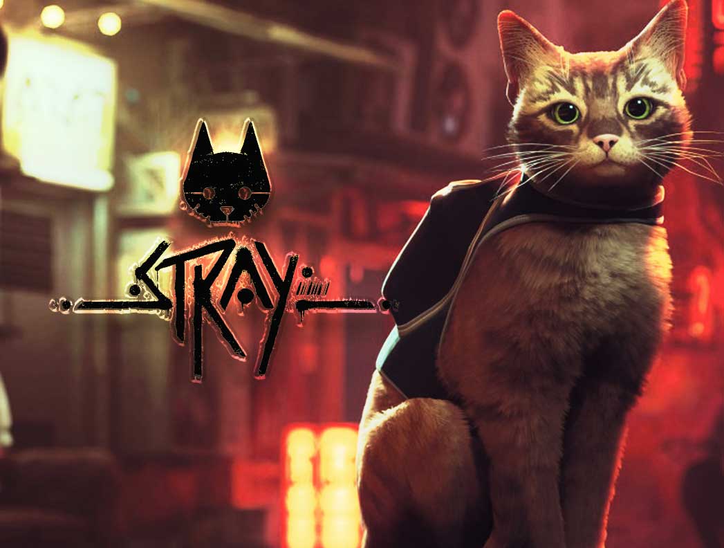 ivan-rodriguez-gelfenstein-stray-video-game-that-saves-cats-in-the-real-world