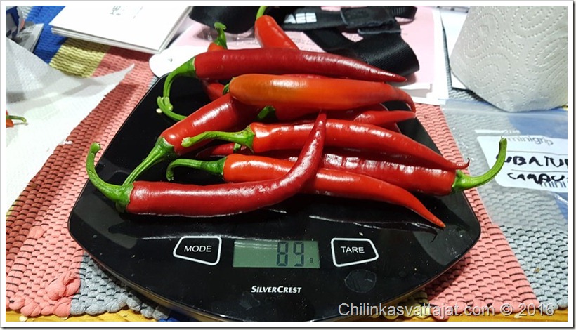aji-rico
