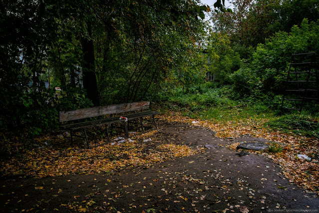 Лавочка под деревьями среди луж