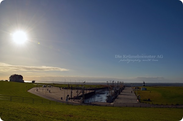 Spaziergang durch Wremen 241113 (49)