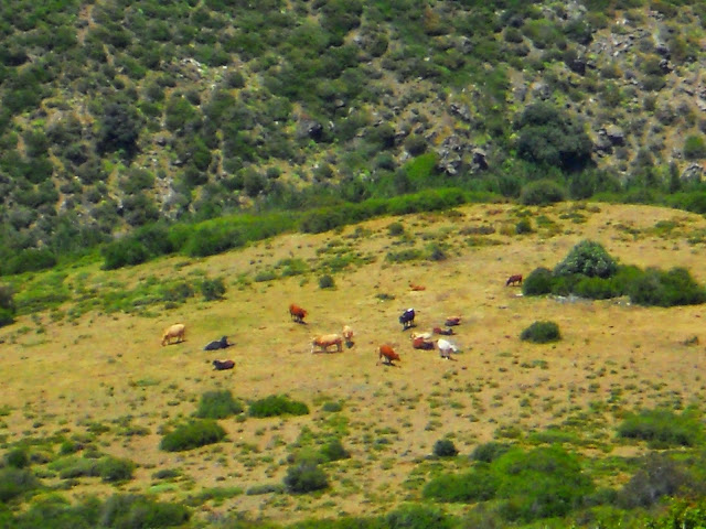 Hombría de los Asesios,Jérez del Marquesado.Sierra Nevada