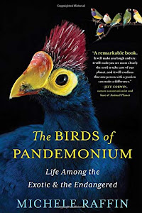 The Birds of Pandemonium