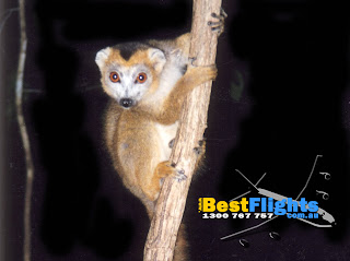 bestflights_036_b