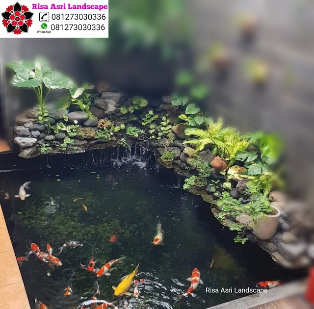 Risa Asri Landscape - Kolam Minimalis, Natural Koi Pond, Kolam Alami, Kolam Air Terjun/Mancur, Kolam Hias Batu Batuan